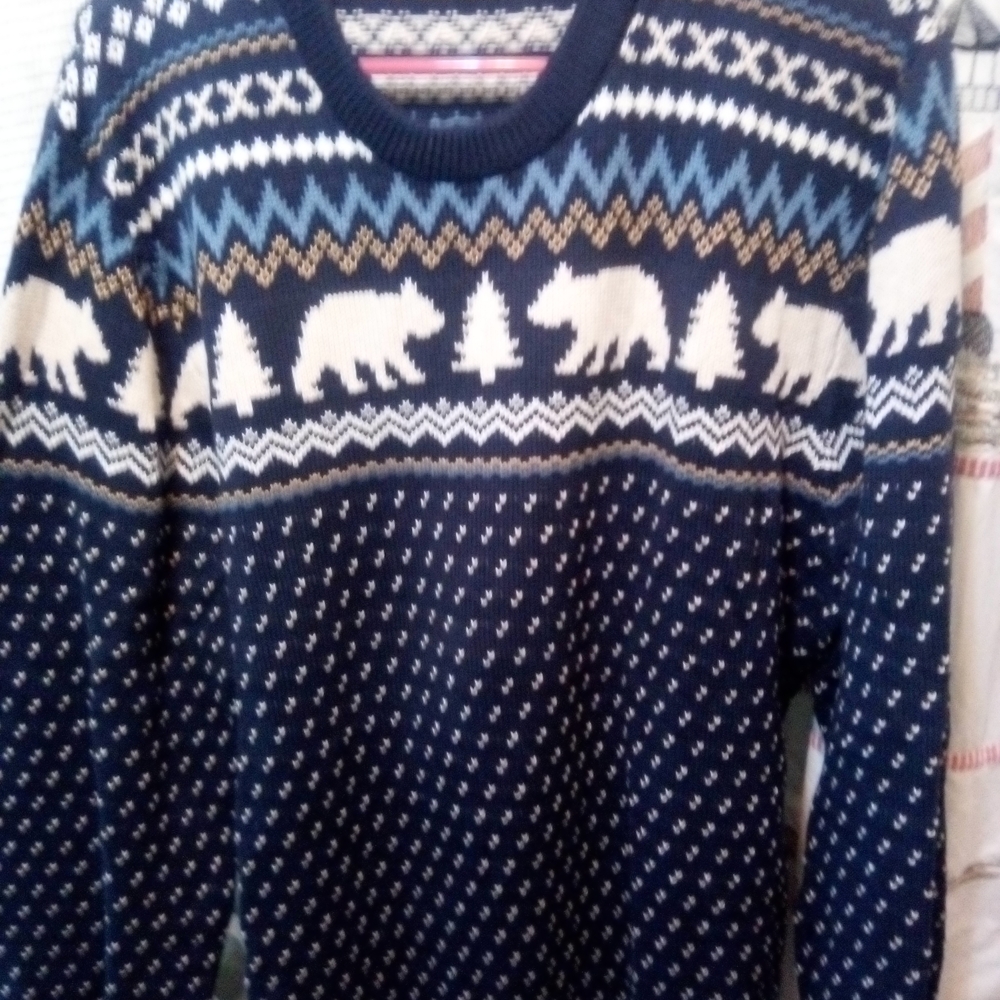 J. Crew Factory Navy and Cream Polar Bear Sweater
